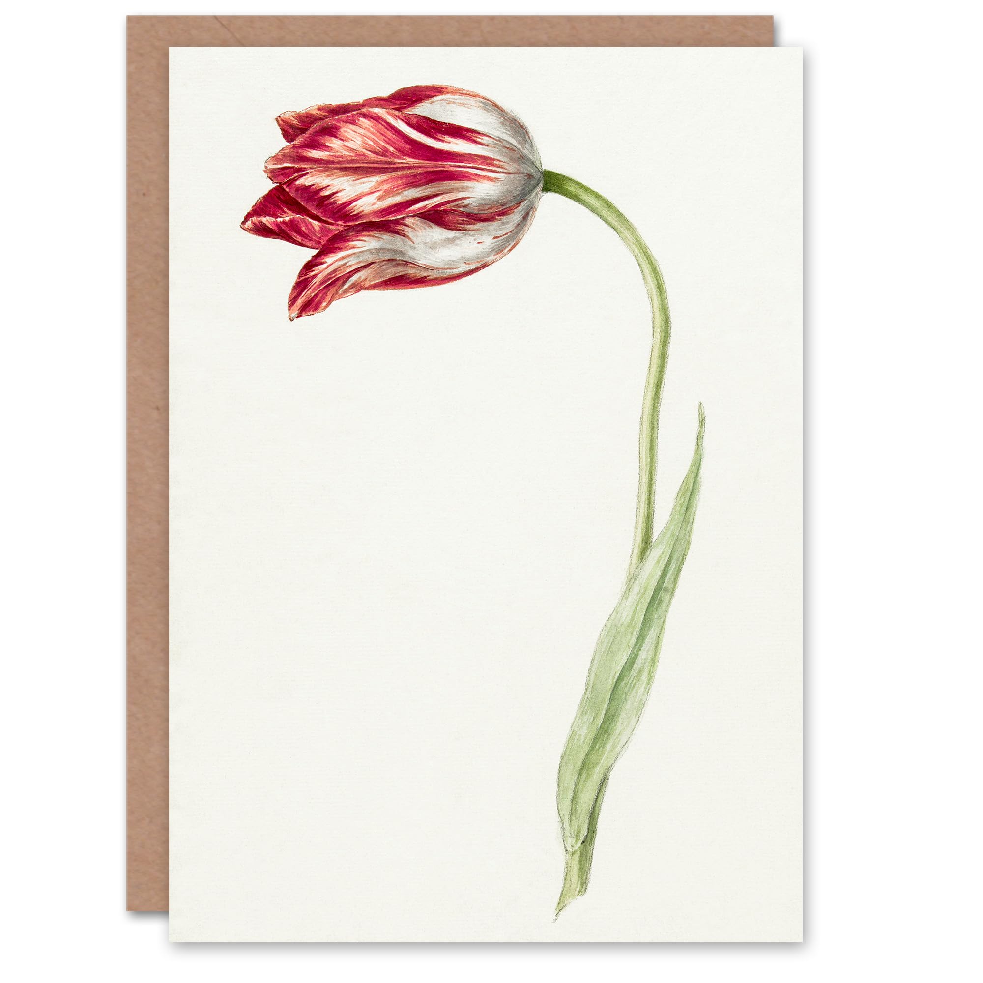 Artery8 Greeting Card - Pink Tulip Flower Drawing - White