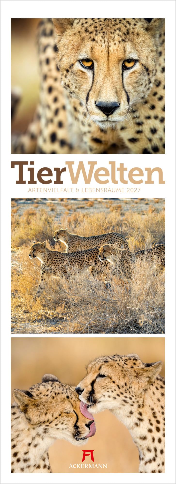 Tierwelten Triplet-Kalender 2027 | Artenvielfalt & Lebensräume: Niedlicher Tier-Kalender im schlanken Hochformat (24x66 cm) | Triplet-Fotografie