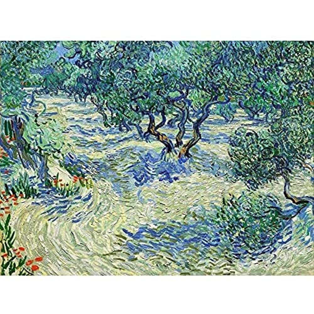Fine Art PrintsVincent Van Gogh Olive Orchard Canvas Premium Wall Decor Poster Mural