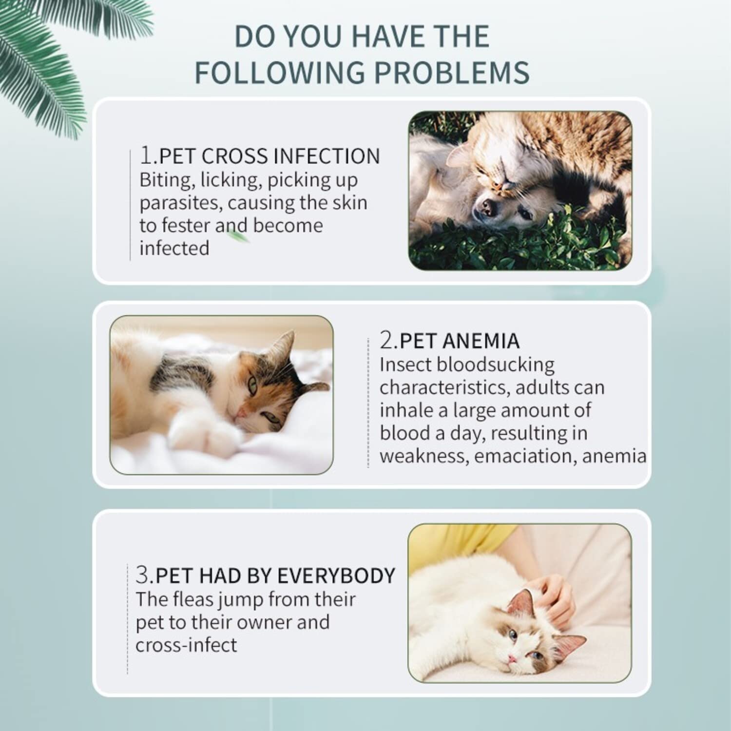 Collar antipulgas y garrapatas Pets4Luv para Gatos, Talla única para Todos los Gatos, elaborado con aceites Esenciales, Seguro y eficaz para repeler pulgas y garrapatas, protección de 24 Meses, 3pc