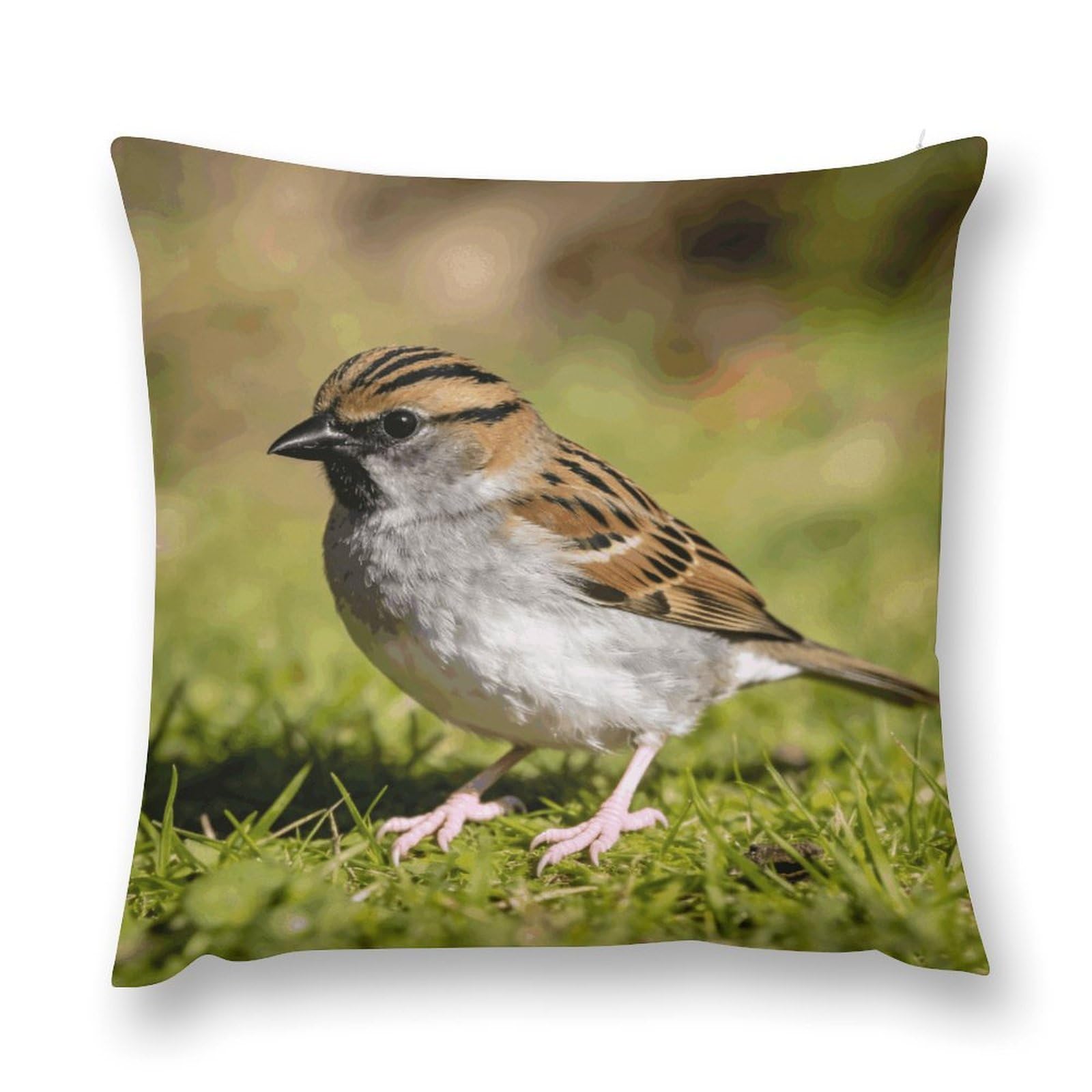 MUSM Sparrow Throw Pillow Cover 26 "x26 Wrinkle&Fade Resistant Cozy Soft Plush Pillow Case Protector Double-Sided Personalized Pillowcase Pillow Shams Cushion Cover for Home