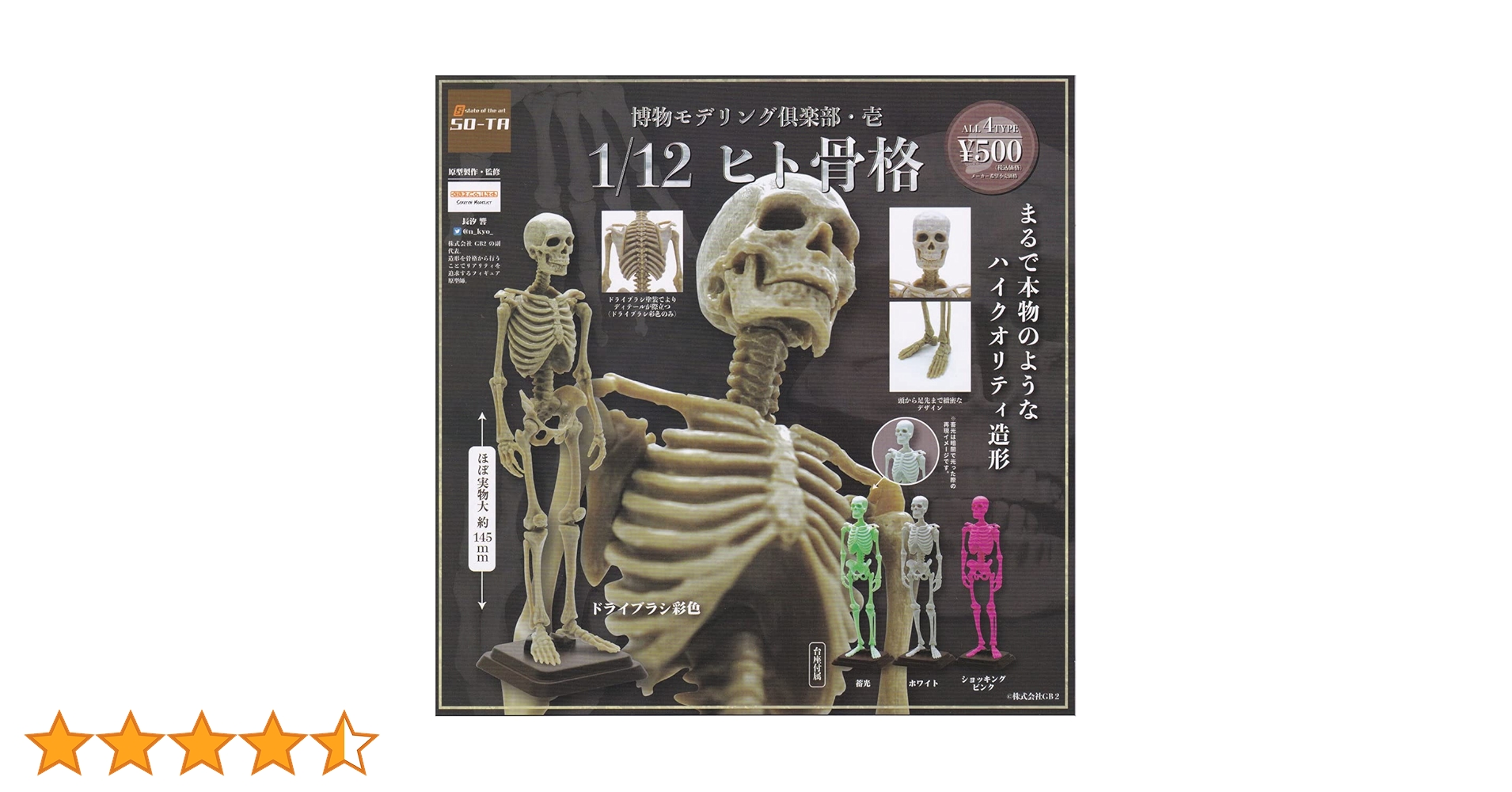 博物モデリング倶楽部 1弾、2弾、3弾コンプセット Amazon.co.jp: 博物モデリング倶楽部・壱 1/12 ヒト骨格 [全4種