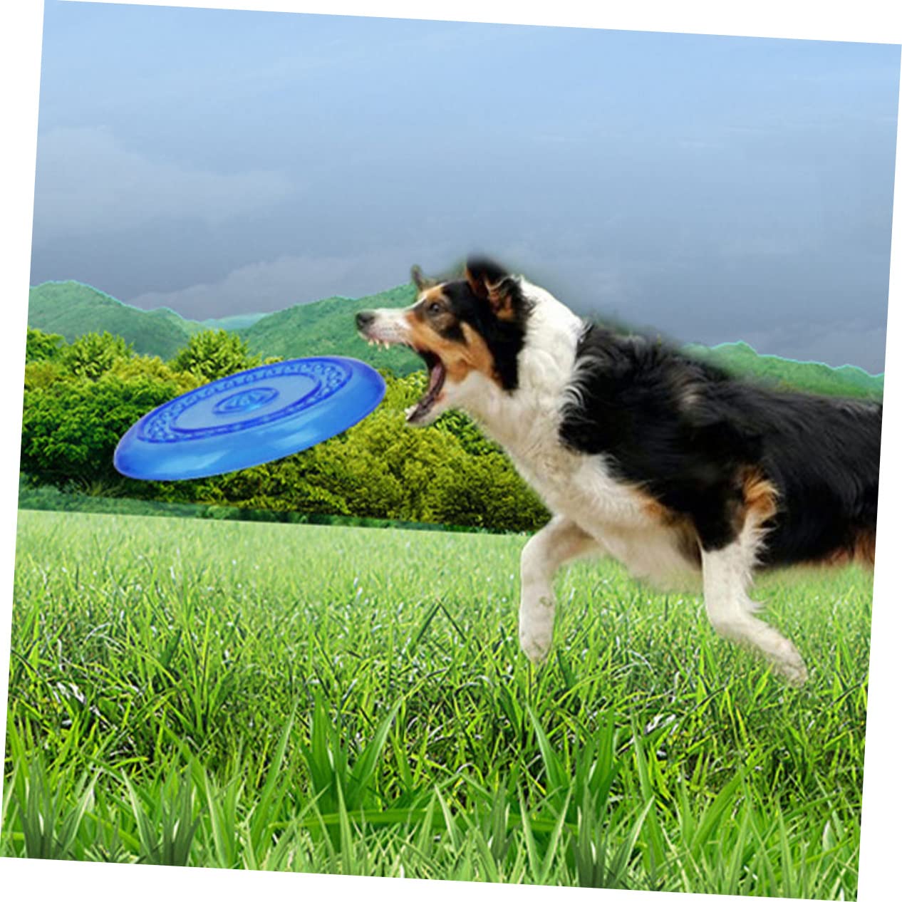 BESTonZON 2 Stück Haustierspielzeug Hundekauspielzeug aus TPR Waschbar und Schützend Blauer Fliegender Wurfscheibe für Hunde für Outdoor Training