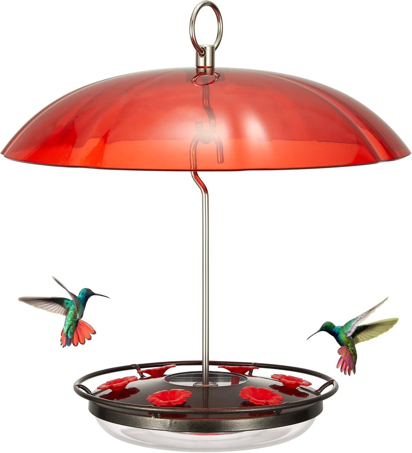 Kingsyard 12 oz Hummingbird Feeder with Rain Guard Dome, Leak-Proof Saucer Nectar Feeder for Outdoors Hanging, Built-in Ant Moat & 6 Bee-Proof Ports, Easy to Refill & Clean, Black
