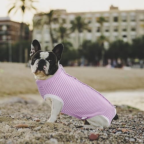 Miniatura 131 de SAWMONG Traje de recuperación para perros, traje de recuperación para perros después de la cirugía, traje quirúrgico de esterilización para perros