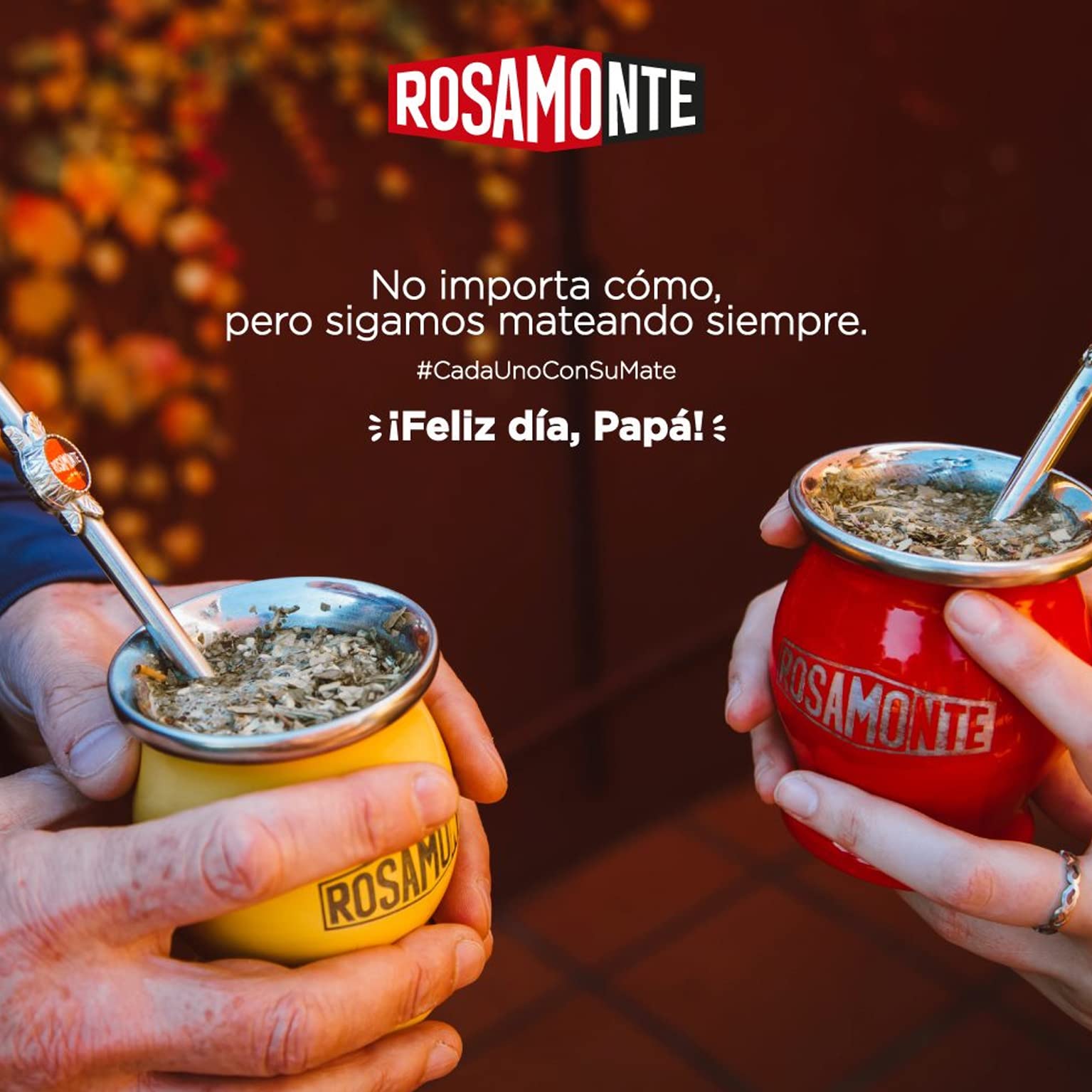 Yerba Mate Rosamonte Traditional 1 kg stal szlachetna Mate Tee: kubek matowy żółty - wapian | słomka do herbaty mate - bombilla | szczotka do czyszczenia w zestawie