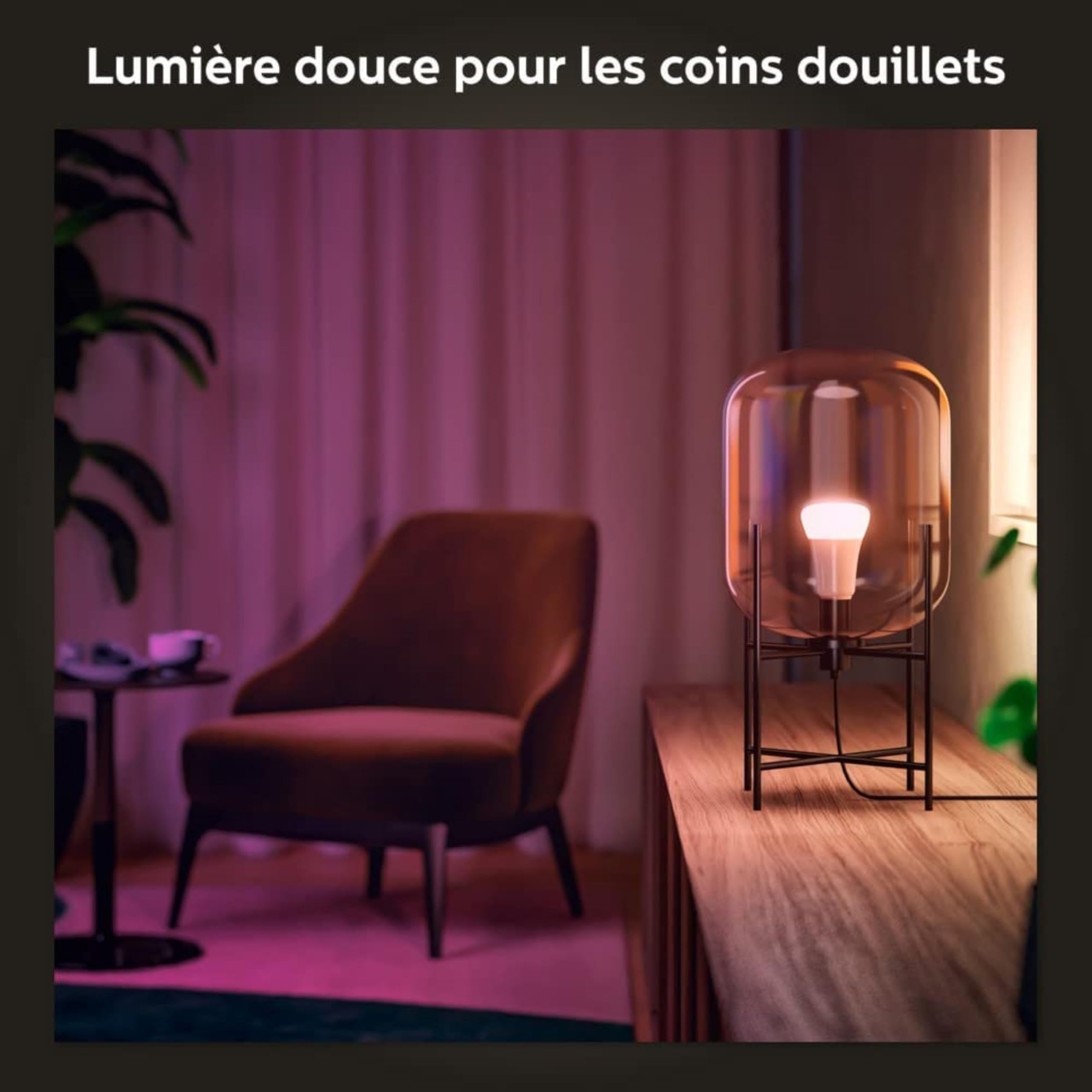 Philips Hue White & Color Ambiance Ampoules LED Connectées E27, équivalent 60W, 800 lumen, Compatible Bluetooth, pack de 2, fonctionne avec Alexa, Google Assistant, Apple Homekit, ancienne génération