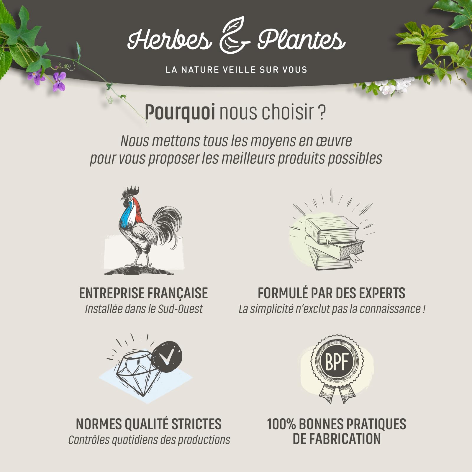 Herbes Et Plantes Spiruline Bio 1000 Comprimés 500 mg