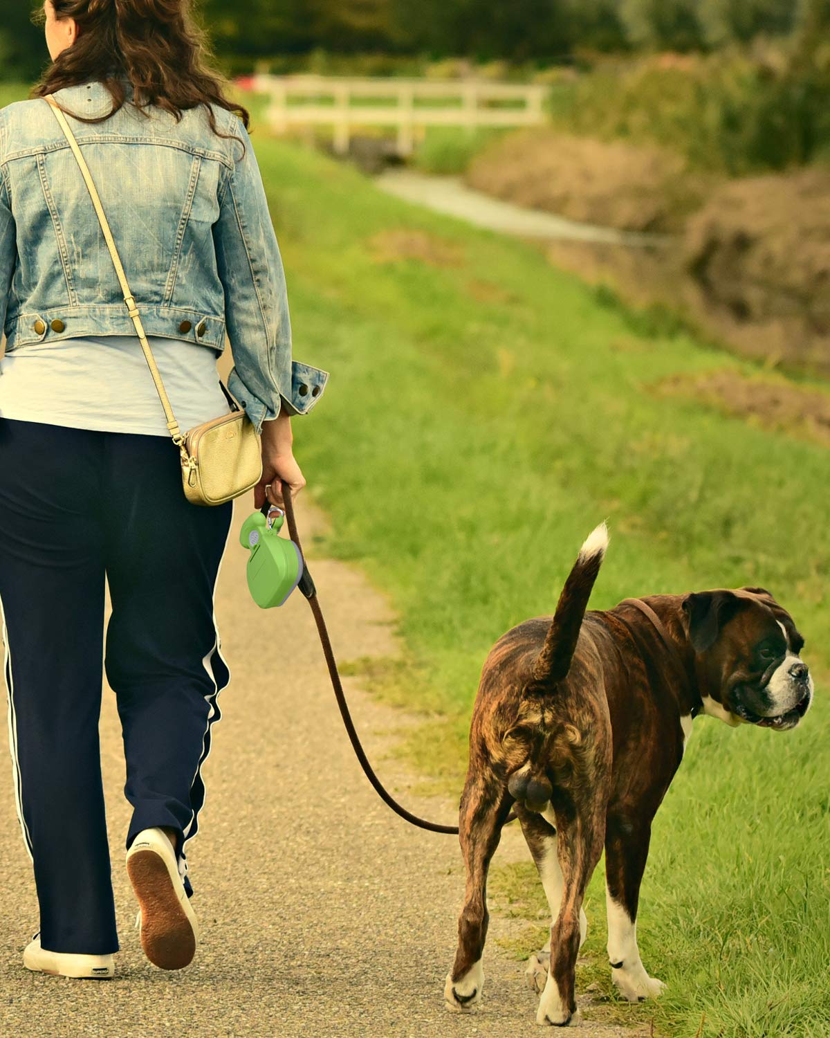 KALLAK Tragbarer Hundekotschaufel, Dog Poop Scooper, Robuster Hundekotgreifer mit Beutelspender, Kotsammler für Hunde mit 2 Rollen Kotbeutel