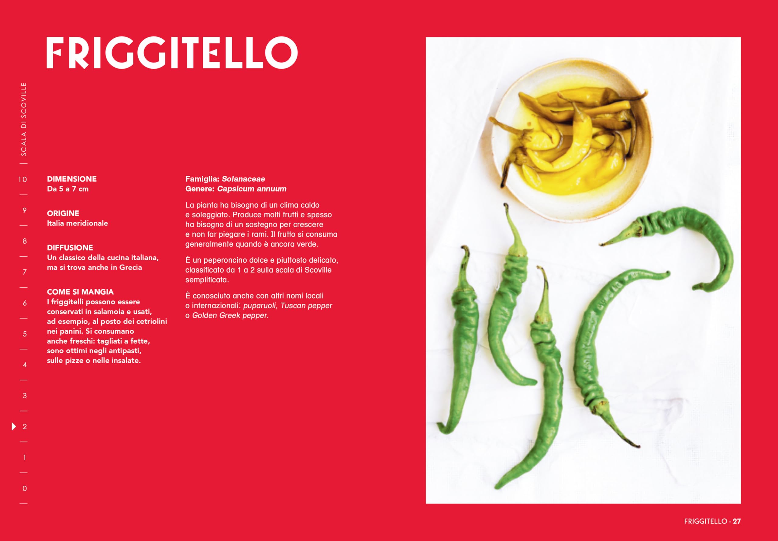 Peperoncino
