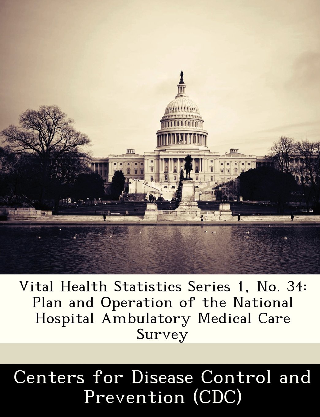 Vital Health Statistics Series 1, No. 34: Plan and Operation of the National Hospital Ambulatory Medical Care Survey