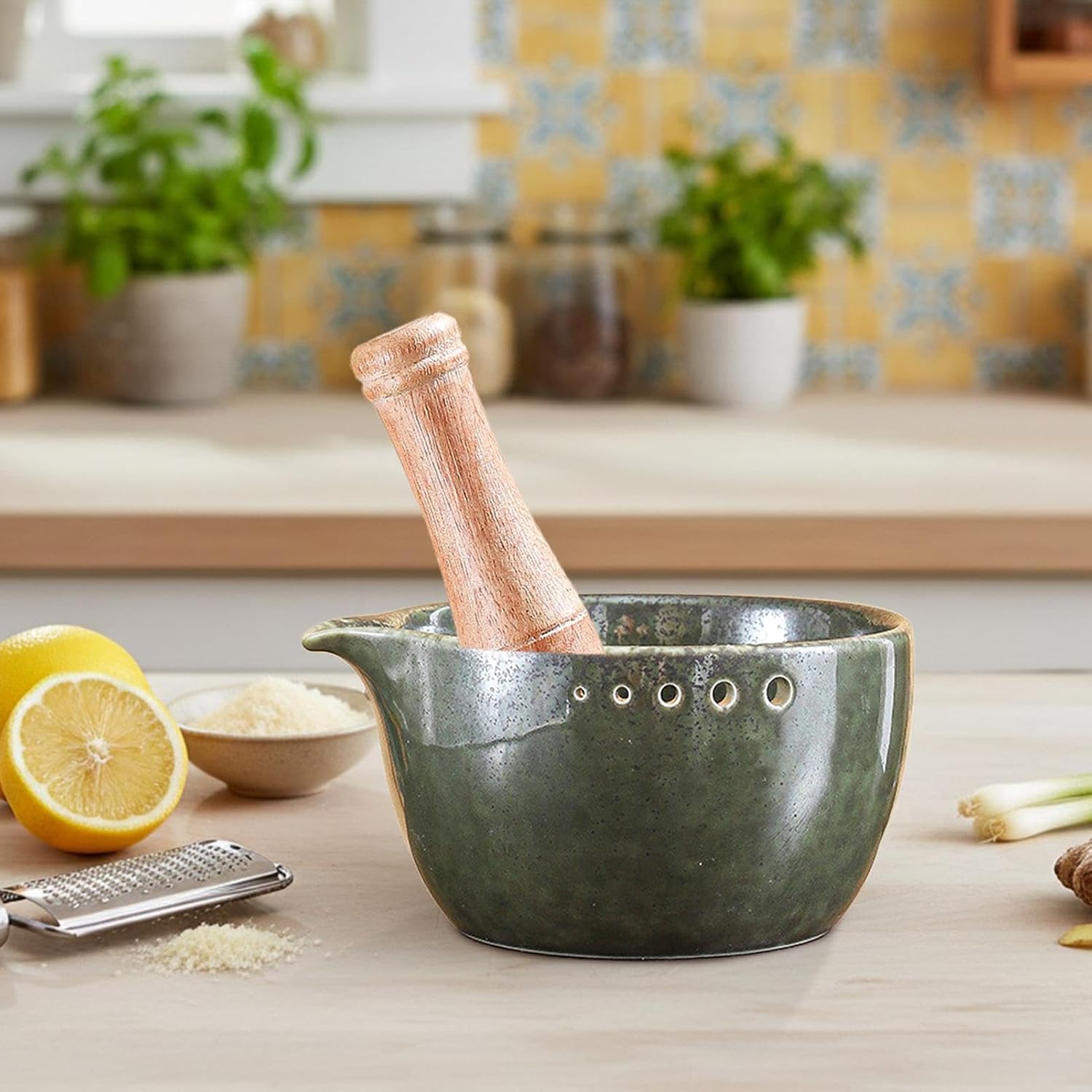 Ginger Grater Bowl | Food Grinder Tool Kitchen Gadget | Garlic Grinding Bowl | for Chocolate Cheese Potato Citrus Sauces Camping Dormitory Apartment Home Cooking Enthusiasts