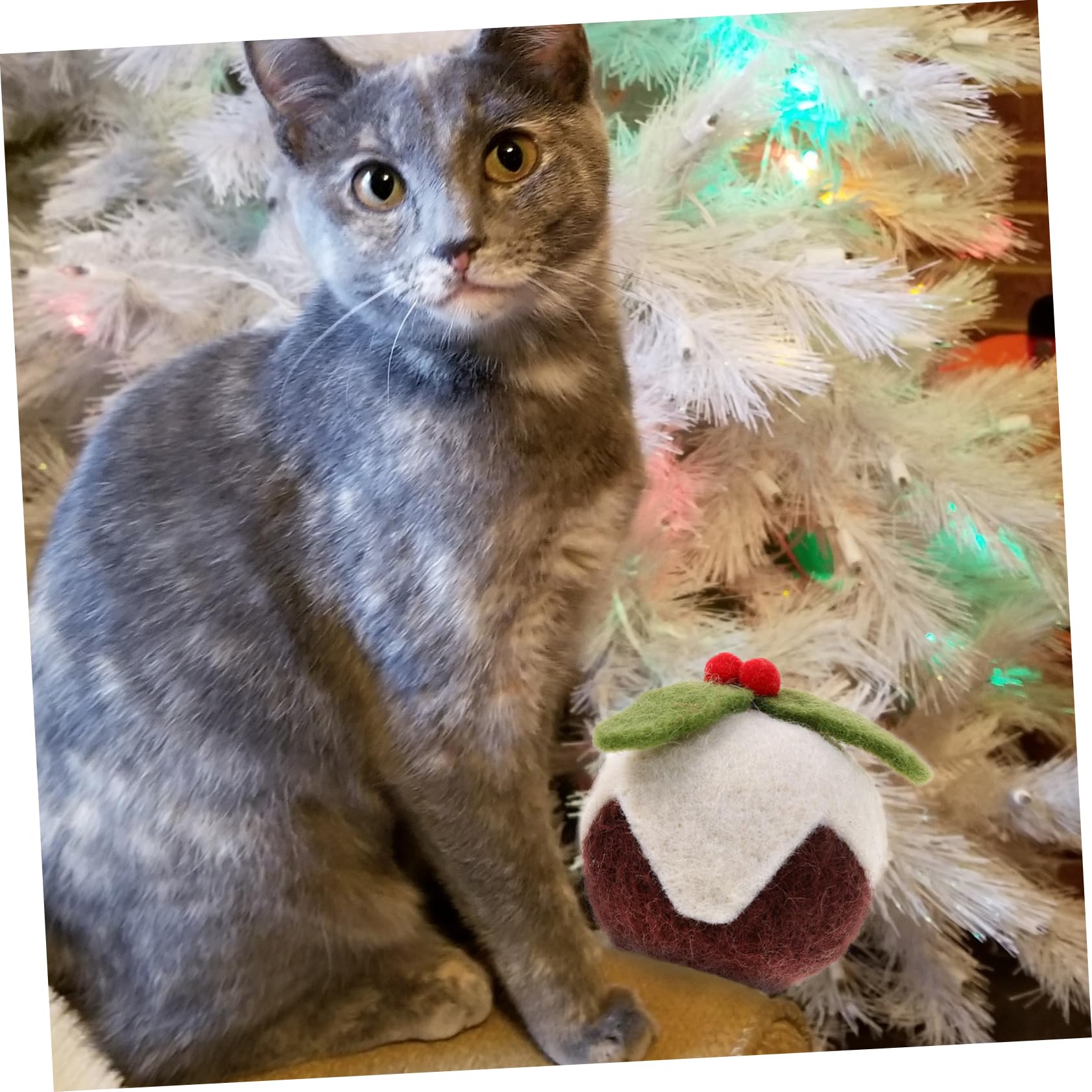 Sosoport 6stücke Teiliges Interaktive Weihnachts-spielzeugbälle Für Katzen Aus Wolle Zum Kratzen Beißen Und Spielen Fördert Die Jagdinstinkte Ihrer Katze Und Sorgt Für Unterhaltung