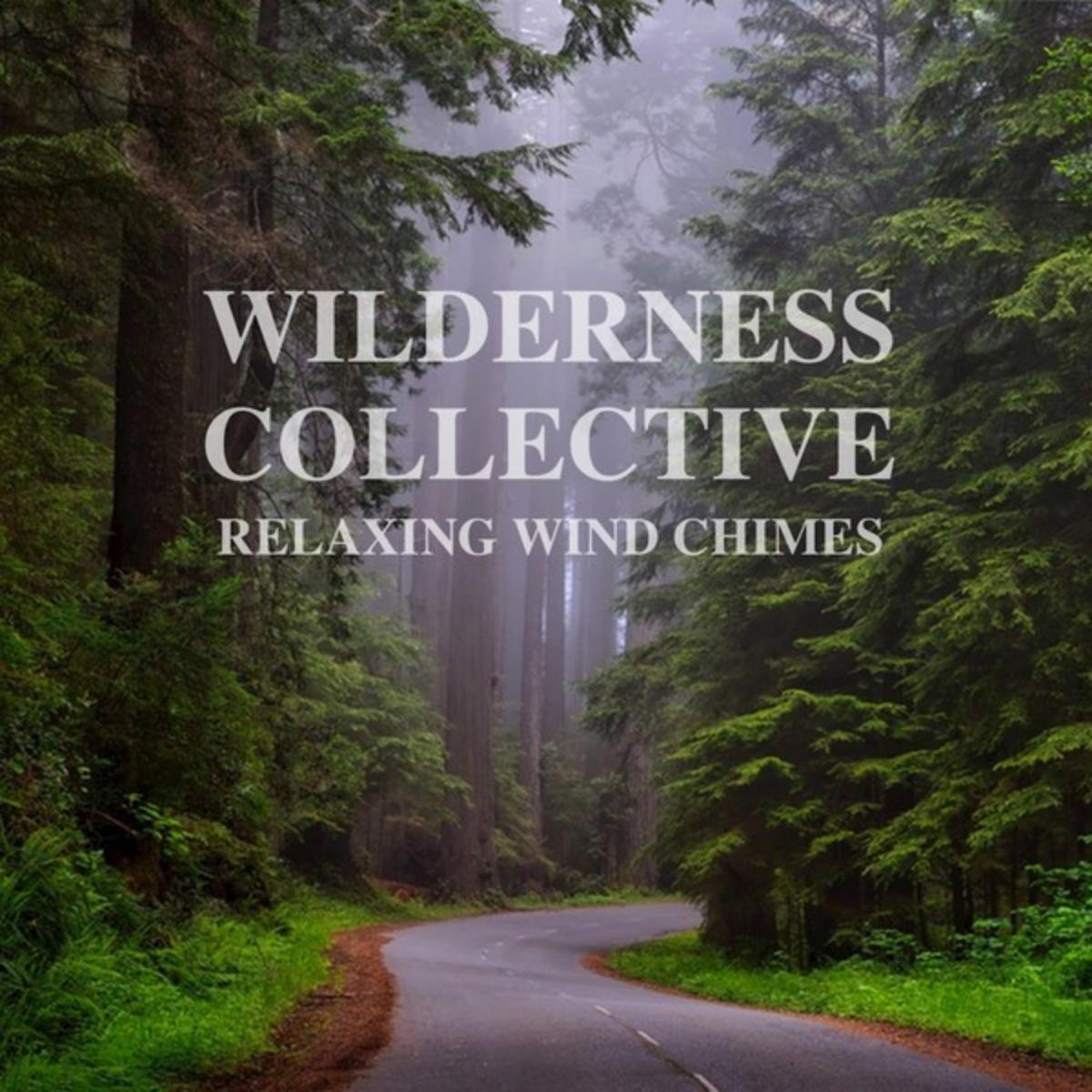 Wilderness Collective