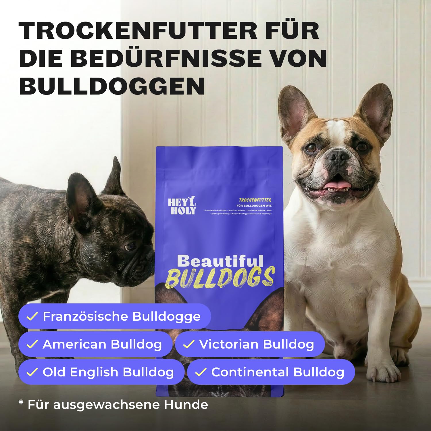 HEY HOLY Premium Trockenfutter für Bulldoggen 100% getreidefrei | 7kg hypoallergenes Hundefutter für ausgewachsene Bulldoggen mit Lachs | Hochverträglich aus natürlichen Zutaten