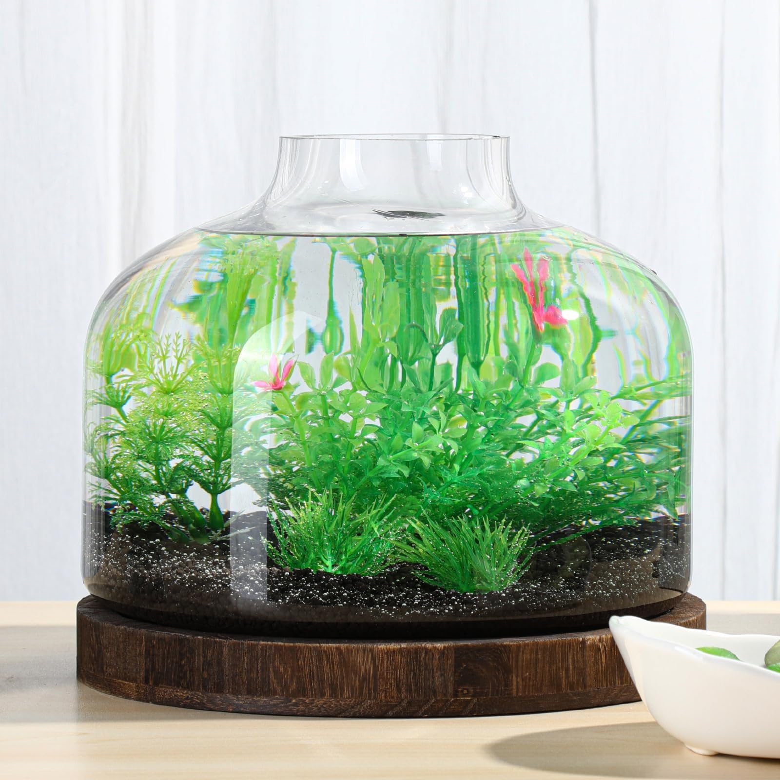PONDON 2 Gallon Fish Bowl Vase, Glass Plant Terrarium Kit, Complete with Wooden Base and Water Changer