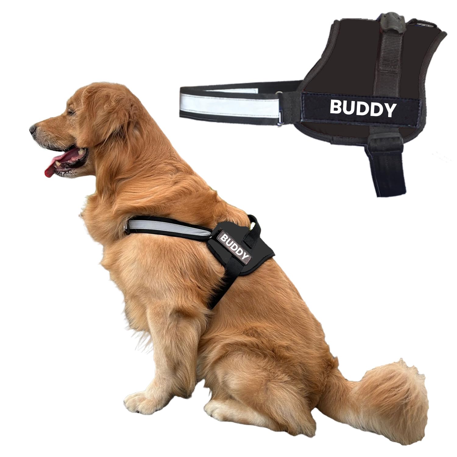 See full amazon price history chart for Payton Perry Dog Vest Harness Body Belt, Choke-Free, Adjustable Size, Reflective Strap (L, Black) (Recommended for 24-35KG PET) Payton Perry Dog Vest Harness Body Belt, Choke-Free, Adjustable Size, Reflective Strap (L, Black) (Recommended for 24-35KG PET) (B0B2N62PN4) Amazon Price History, Amazon Price Tracker