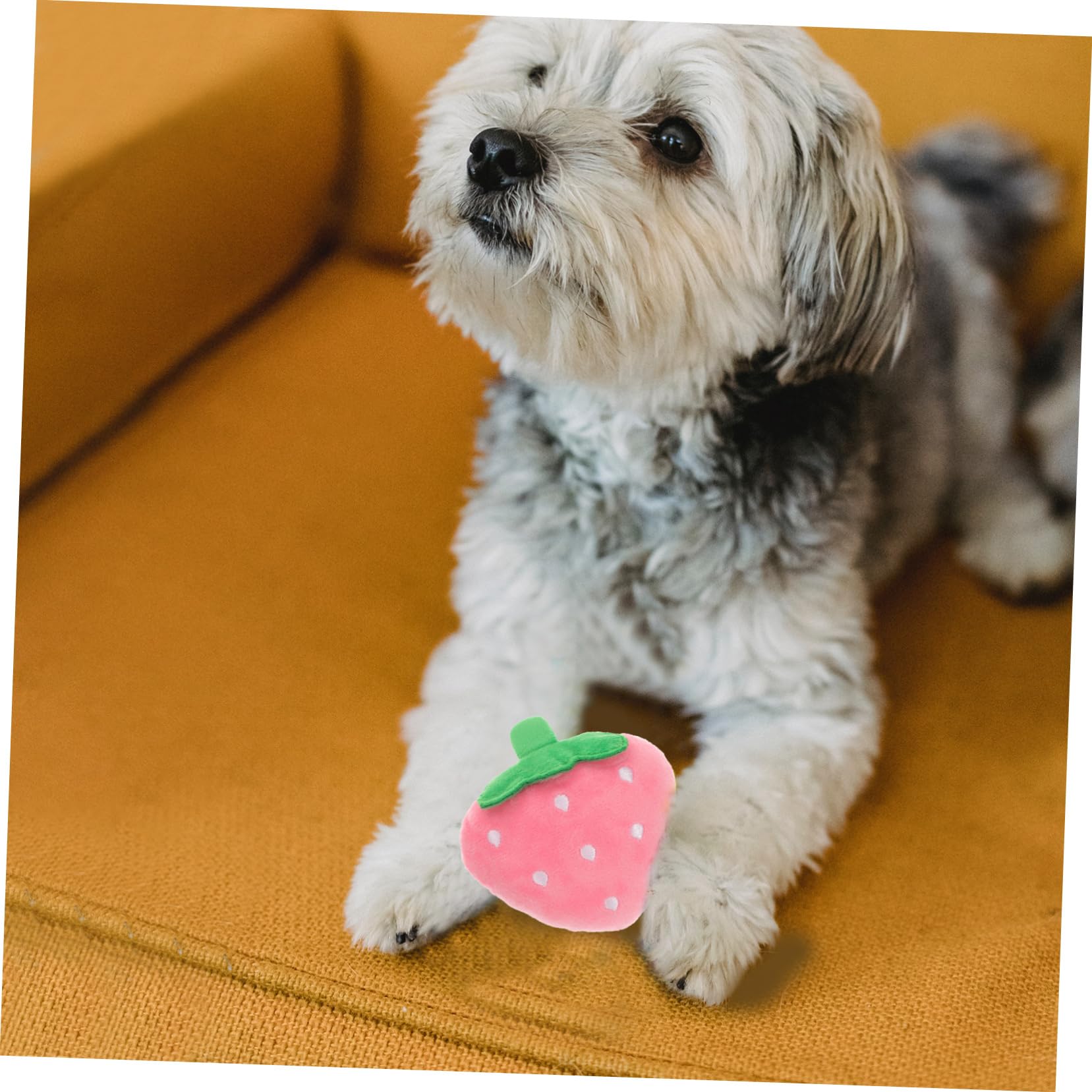 FOMIYES Jouet À Mâcher Couineur pour Chien Jouets pour Animaux De Compagnie pour Chiens Formation Matériau Sûr Jouet Interactif pour Chiot Jouets Sonores pour Animaux De Compagnie