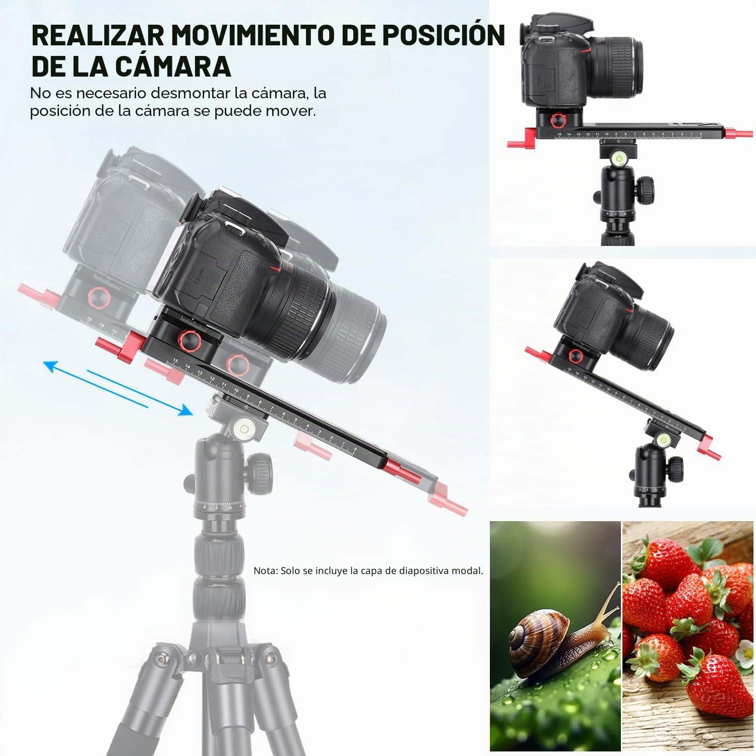 Koolehadao Deslizador de Riel de Enfoque Macro para fotografía Macro de Primeros Planos Riel de Enfoque preciso con Placa QR de 1/4 Compatible con Arca-Swiss para videocámara DSLR W-200
