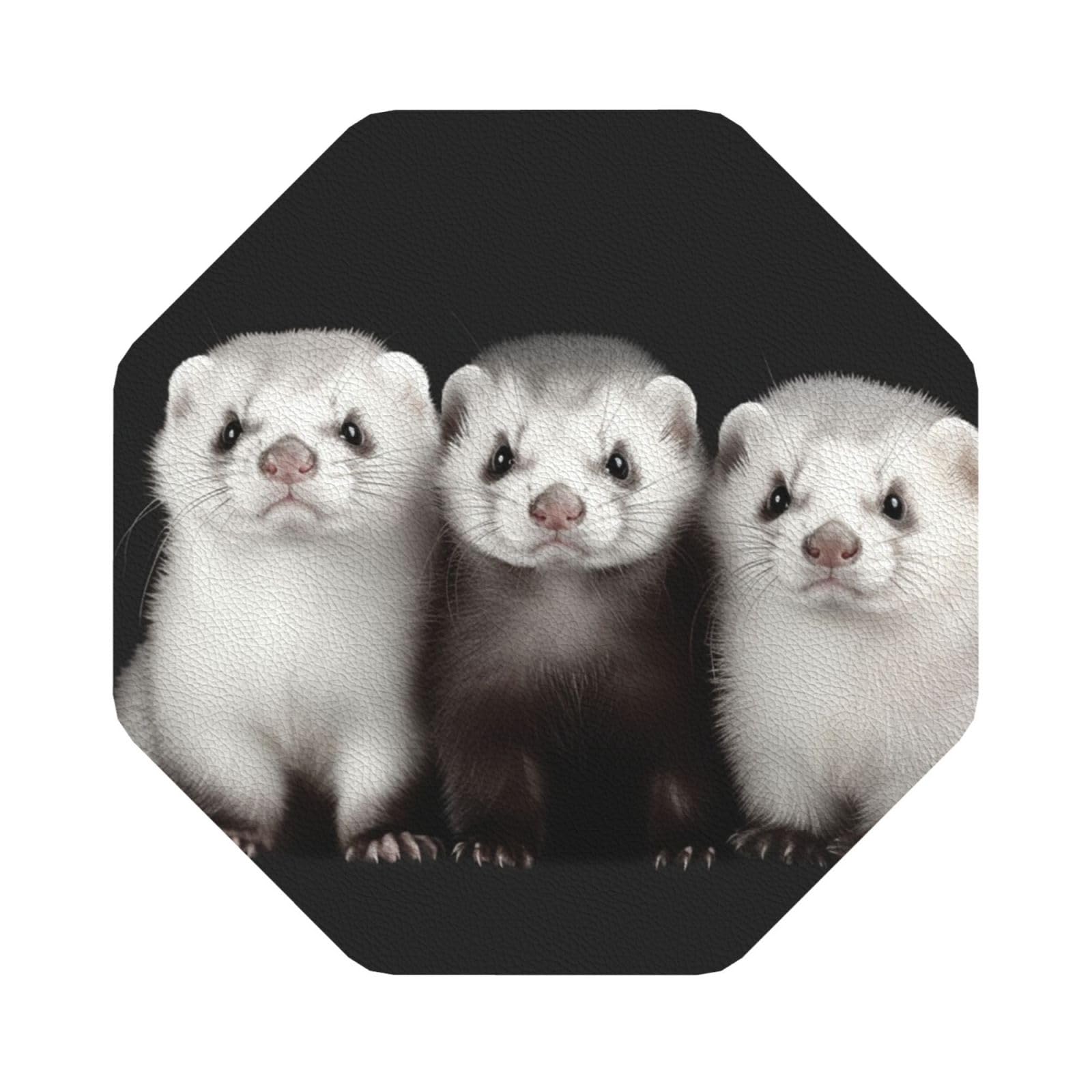 Fodpand Octagon Ferrets Drink Coasters Set Of 4, Heat Resistant Leather Coasters Fuuny Bar Beer Beverage Coaster For Drinks, Absorbent Cup Mat For Tabletop Protection, Housewarming Gift