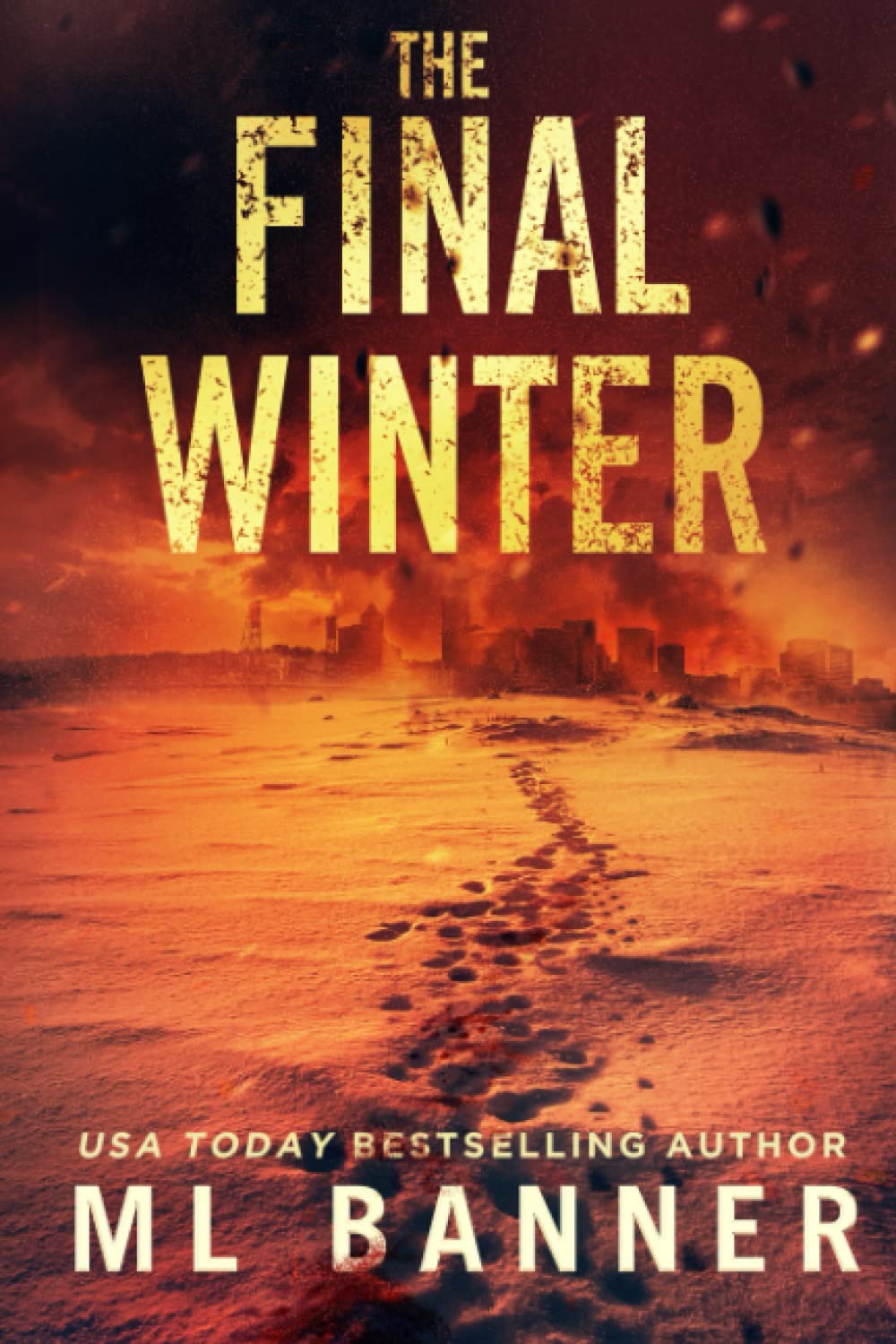 The Final Winter: A Post-Apocalyptic Survival Thriller