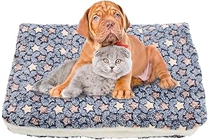 Snuggly Paw Print Pet Blanket Quartet: Budget-Friendly Comfort for Your Furry Friends