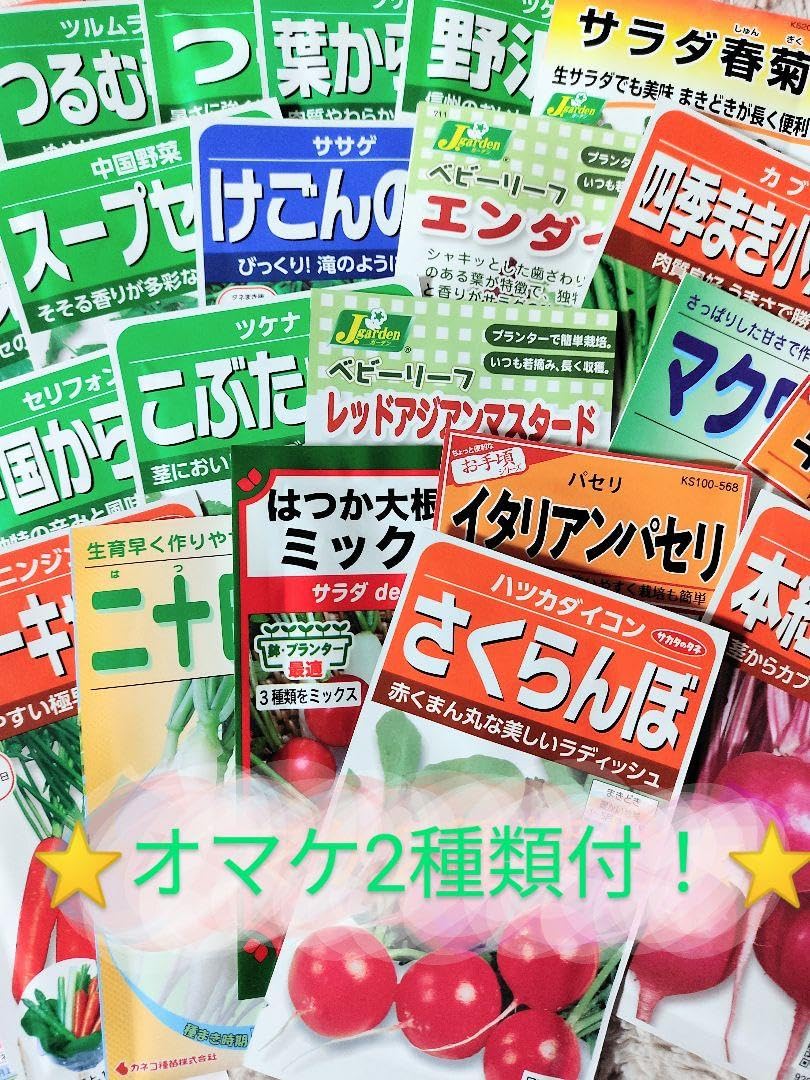 Amazon.co.jp: ニューメロンタネ選べるオマケ2種類付 : おもちゃ 