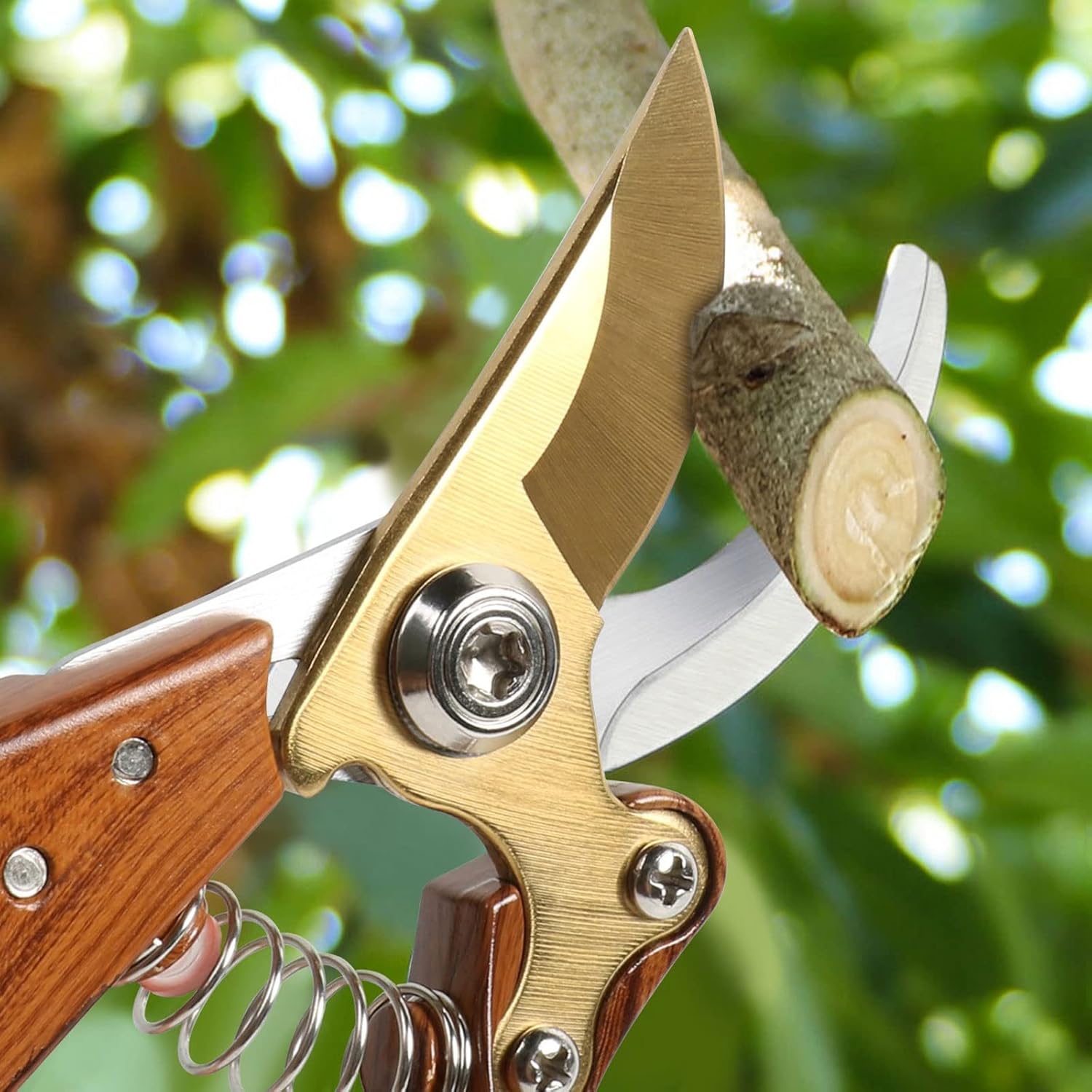 INLIMA Gardening Scissors 1pc Garden Beak Scissor Horticulture Pruner Orchard Hand Shears Trimmers For Bonsai Bypass Tree Branch