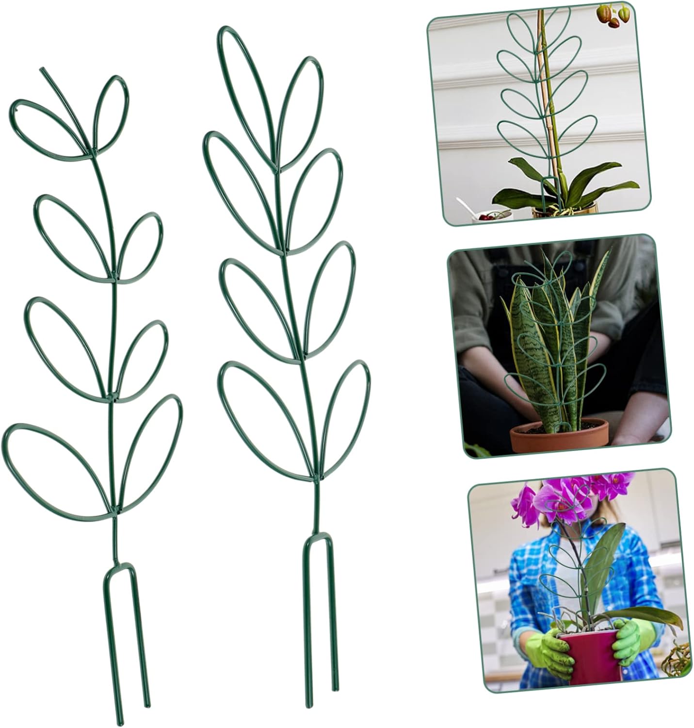 Balacoo 2pcs Iron Garden Trellis Indoor Plant Gardening Tool Trellis for Potted Plants Garden Trellis for Climbing Plants Outdoor Supporting Racks Small Plant Pot Trellis Fixed Rod Metal, Green