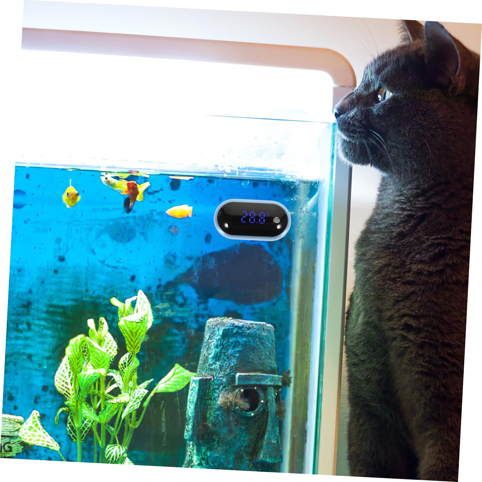 VANZACK 3piezas Digital De Acuario Portátil Medidor De Temperatura Para Peceras Pantalla Led Herramienta Precisa Para Tanques De Agua y Acuarios Para Hogar y Aficionados Los Peces