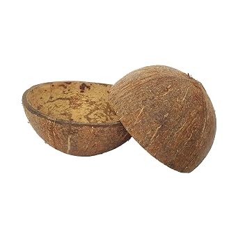 Lakpura Coconut Shell Halves (2 pcs)