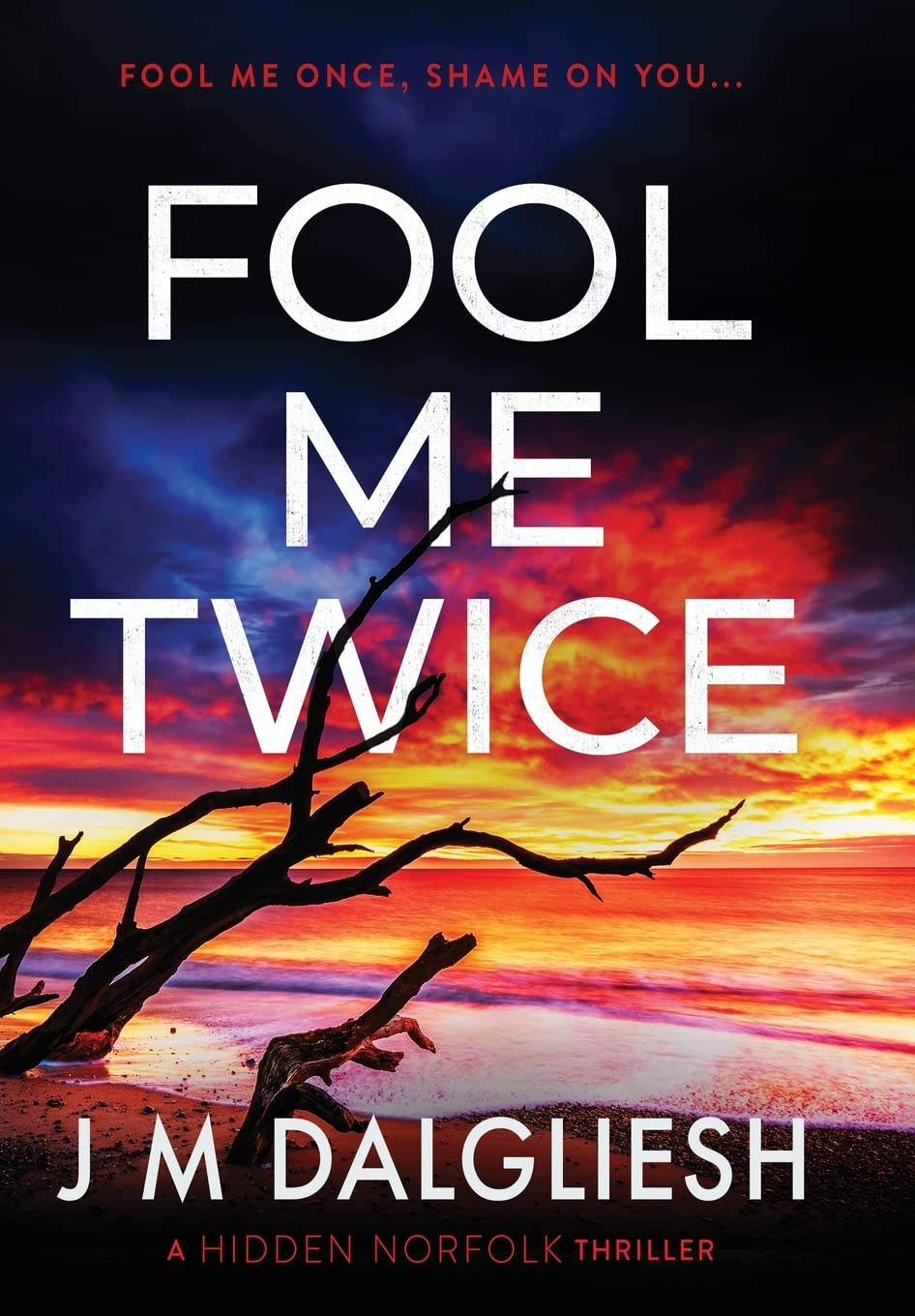Fool Me Twice: 10 (Hidden Norfolk)