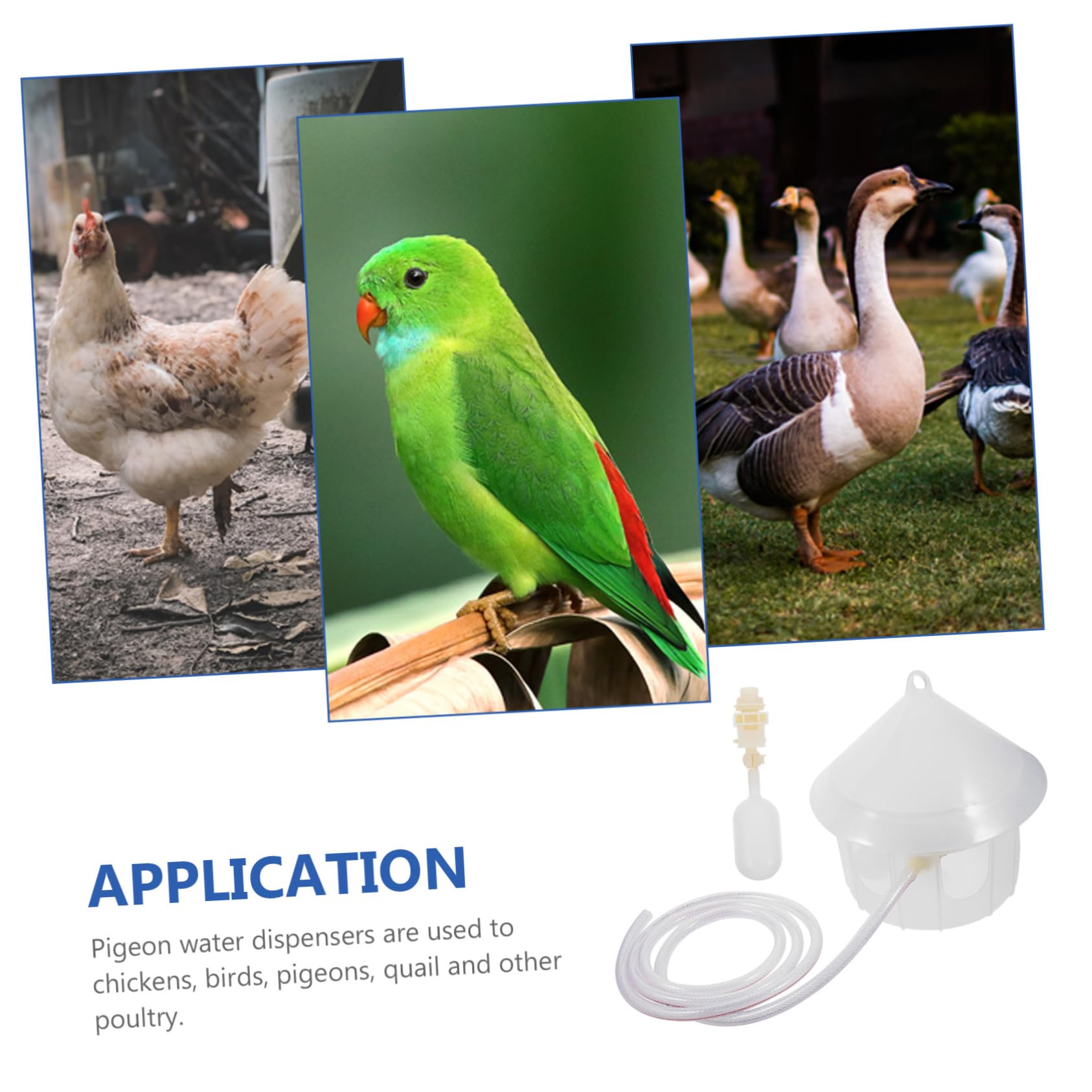 UPKOCH Bebedero para Palomas Dispensador De Agua Automático Comedero para Pájaros De Plástico para Uso Jaula