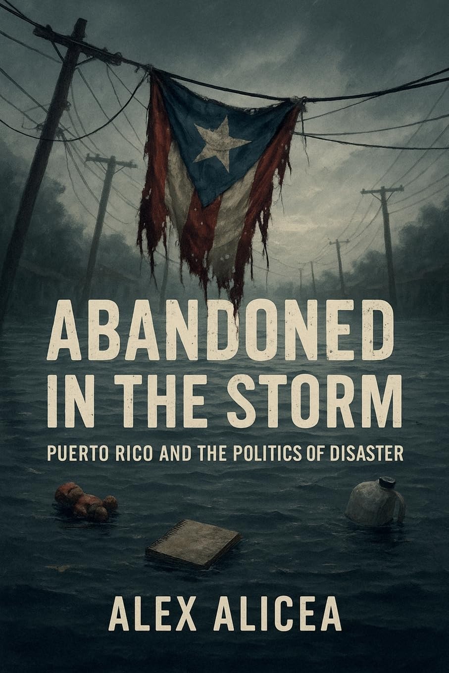 Abandoned in the Storm: Puerto Rico and the Politics of Disaster