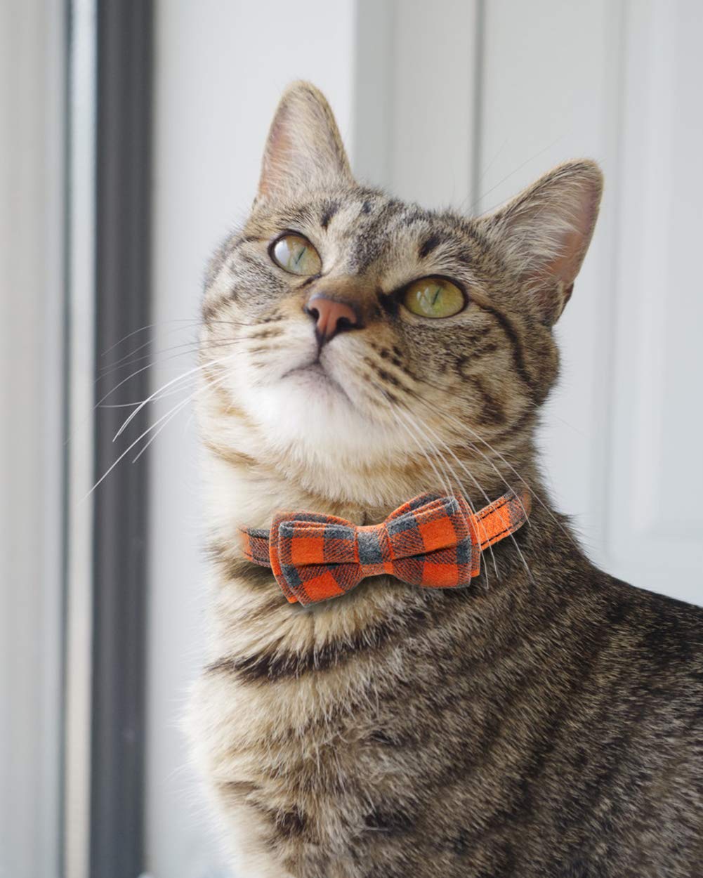 Joytale Breakaway Cat Collars With Bells – 2 Pack, Plaid Bow Tie, Adjustable 7-11 Inch