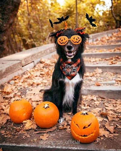 Miniatura 4 de Pañuelos navideños para perro, paquete de 6 bandanas para Halloween, otoño, Acción de Gracias, Navidad, para perro, decoraciones de disfraz de