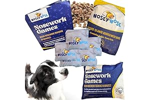 Dog Scent Training Kit - Anise Scent Zipper Pouch with Bag & Brain Puzzle Games