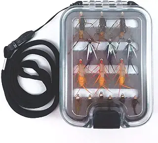 The Fly Fishing Place Nymph Fly Assortment – EssentialビーズヘッドダブルビーズNymphs Fly Fishing Fliesコレクション – 15 trout flies with Lanyard防水フライボックス – Anglersギフトセット