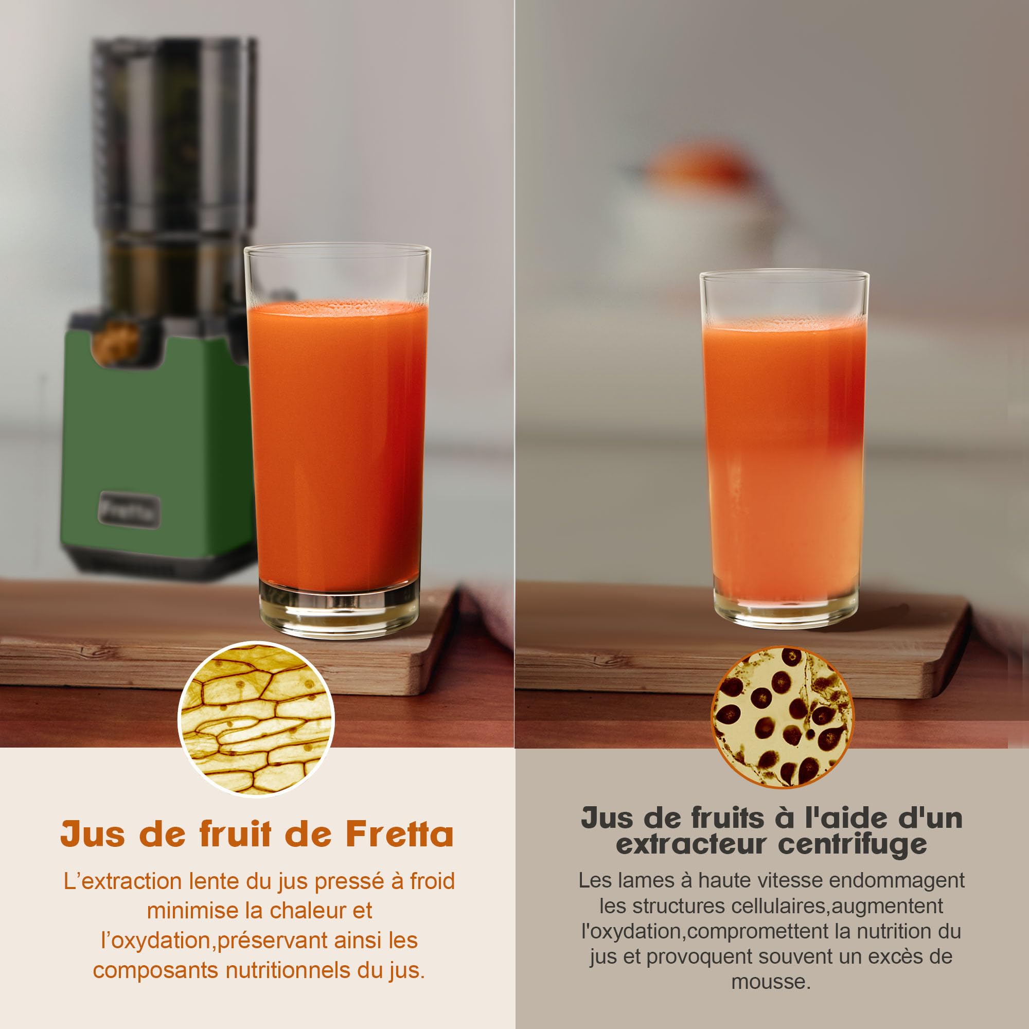 Fretta Extracteur à Mastication Lente 135mm Grande Goulotte (Vert)