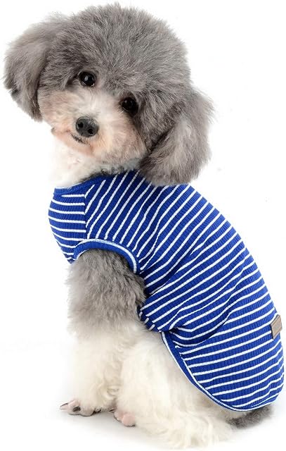 Zunea Dog Shirt for Small Dogs Cats Pet Striped T Shirt Summer Cool Vest Puppy Basic Tank Top Soft Cotton Chihuahua Clothes for Doggy Girl Boy Blue S