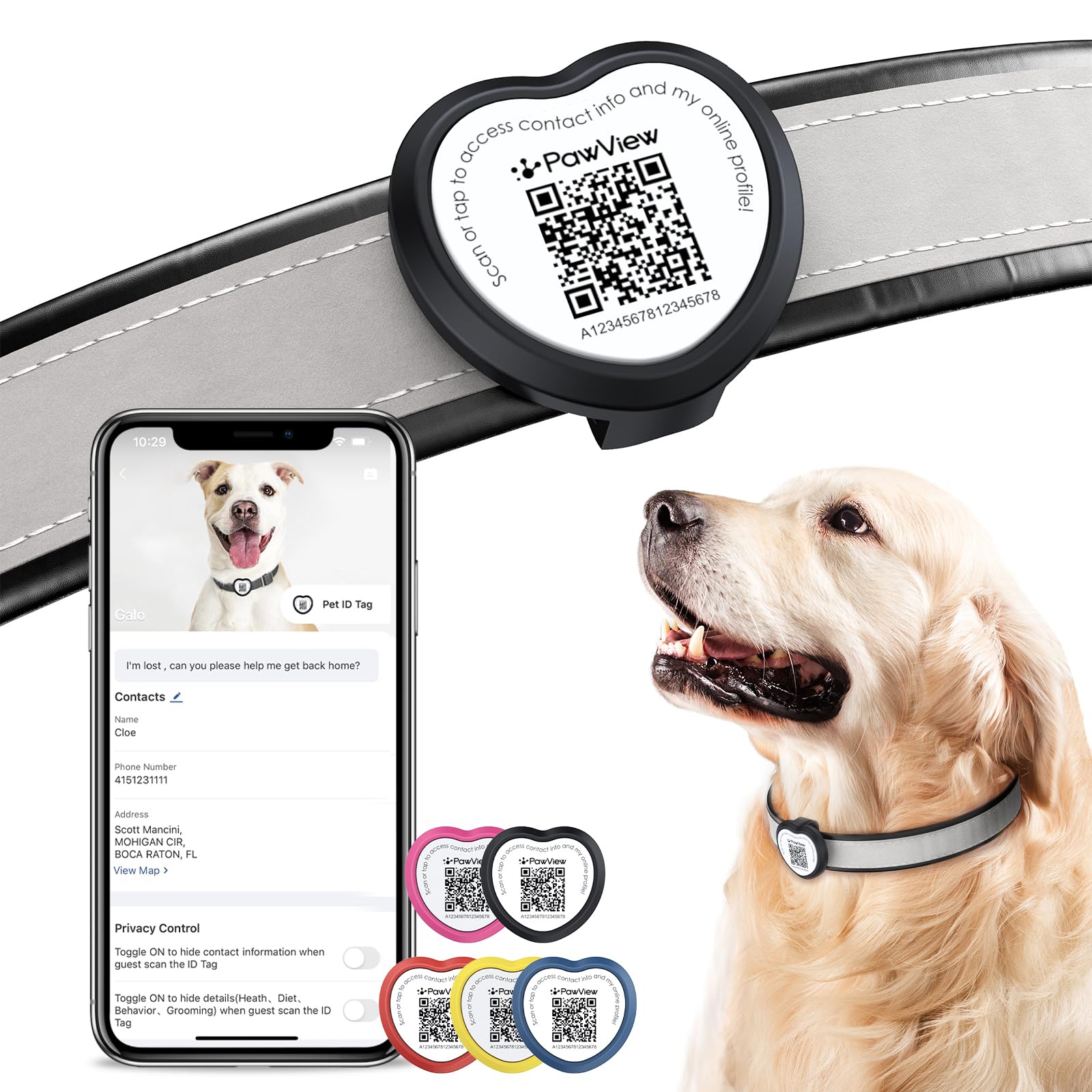 QR Code Dog ID Tag UK with NFC, No Subscription, No GPS