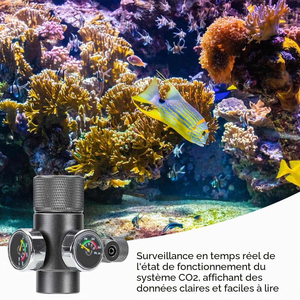 Régulateur de CO2 D'aquarium,Manomètre de CO2 pour Réservoir de Poisson Simple/Double,Pression Réglable pour Système de CO2 de Plantes Aquatiques