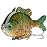 BASSDASH SwimPanfish Multi Jointed Panfish Bluegill Swimbaits Hard Topwater Bass Lures Fishing Lure Crank Saltwater 3.5in/0.85oz