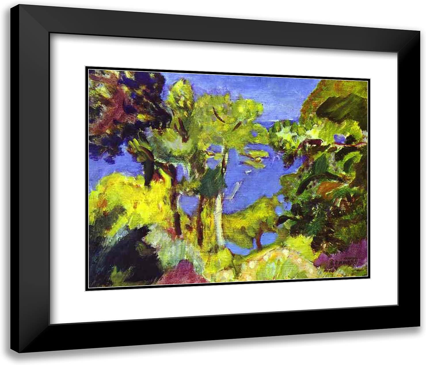 ArtDirect Bonnard, Pierre 24x20 Black Modern Framed Art Print with Double Matting Titled: Landscape of Cote d'Azur