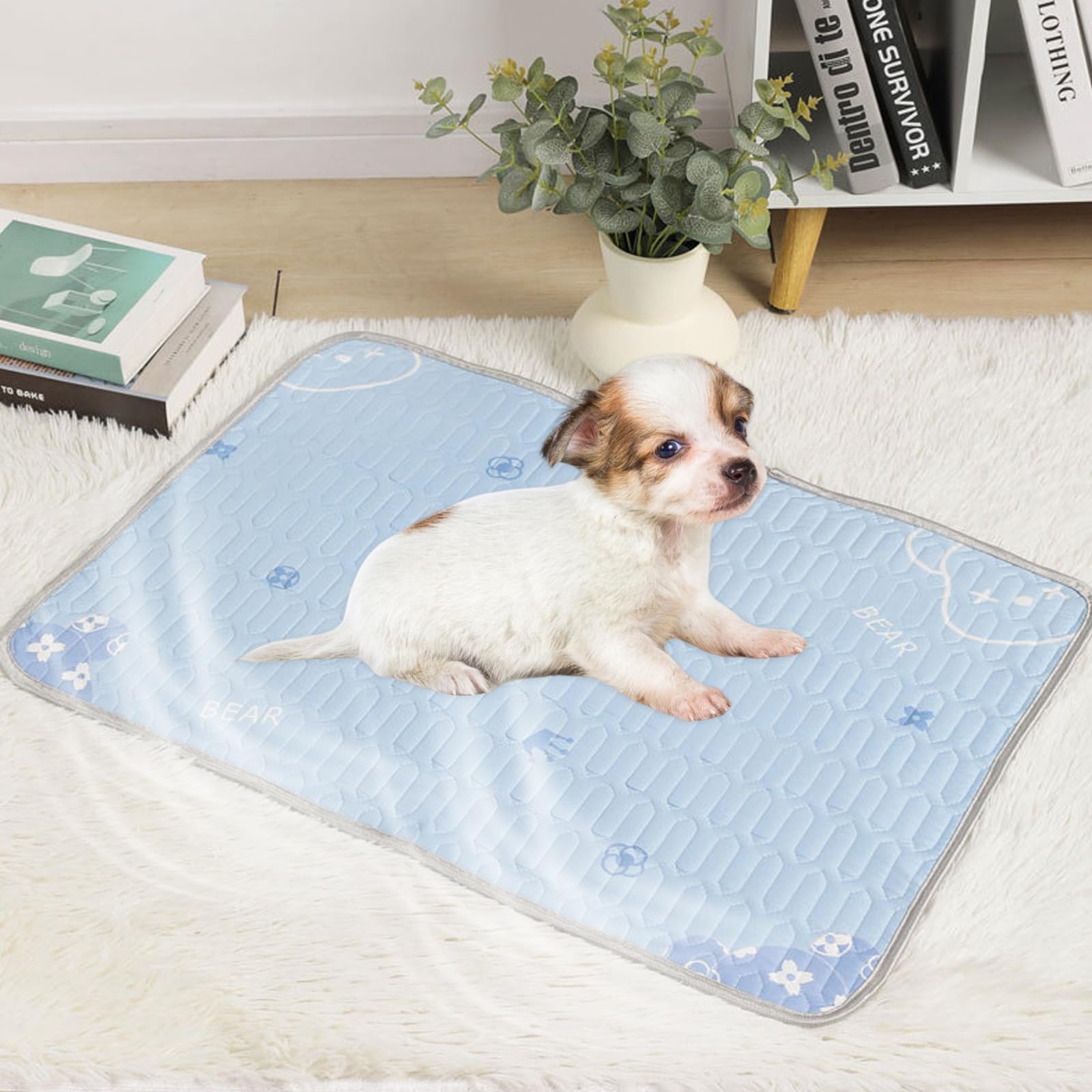 Kühlmatte Für Hunde - Selbstkühlende Decke Für Haustiere Bei Hitze