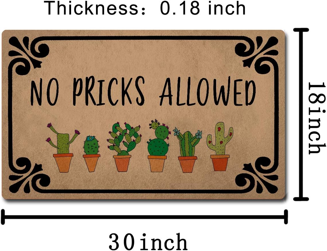 Z plus Welcome Mats 30"(L) x 18"(W) Personalized Funny Door Mats for Entrance Way/Kitchen Rugs and Mats/Front Door Mats Anti-Slip Rugs (No Pricks Allowed Cute Cactus)