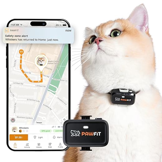 Pawfit Lite for Cats 4g GPS Tracker | Real Time Tracking | Activity Monitoring |Location History | Unlimited Range | Safety Collar Included | Simply white