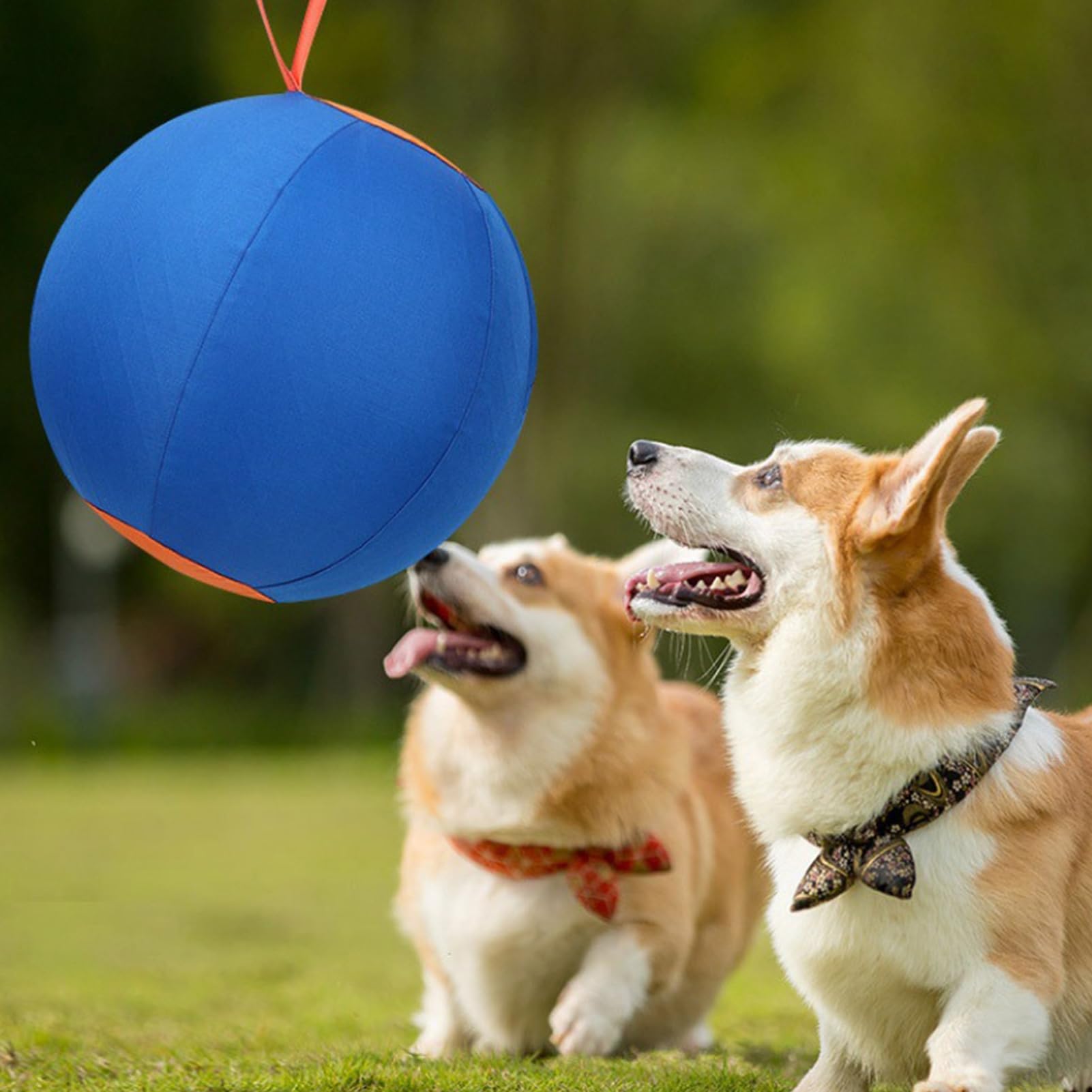 Pelota de pastoreo para perros, pelota calmante con asa de cubierta, pelota de entrenamiento inflable para razas grandes, perros pequeños y medianos, juego activo