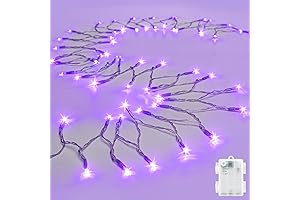 Battery Operated Halloween Lights 9.8ft 30 LED