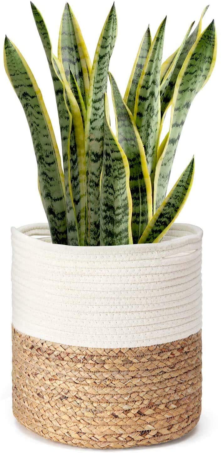 Bucket fly Jute Cotton Planter Basket, 10x12 Inches for Plant Pot Storage (White, Beige, Plain, Pack of 1) (B0B63FHGXQ) Amazon Price History, Amazon Price Tracker